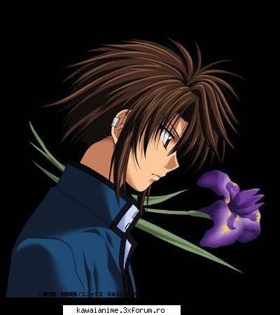 narumi ayumu