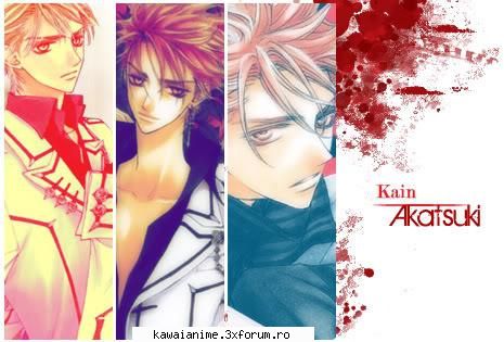 Akatsuki Kain - Karin - VaMpiRe KniGht