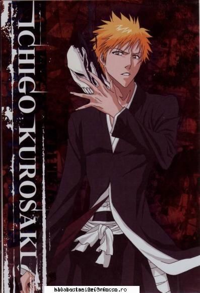 Ichigo - Karin - BLeAcH