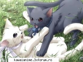 Poze cu animale - Sailor Mars - PoZe